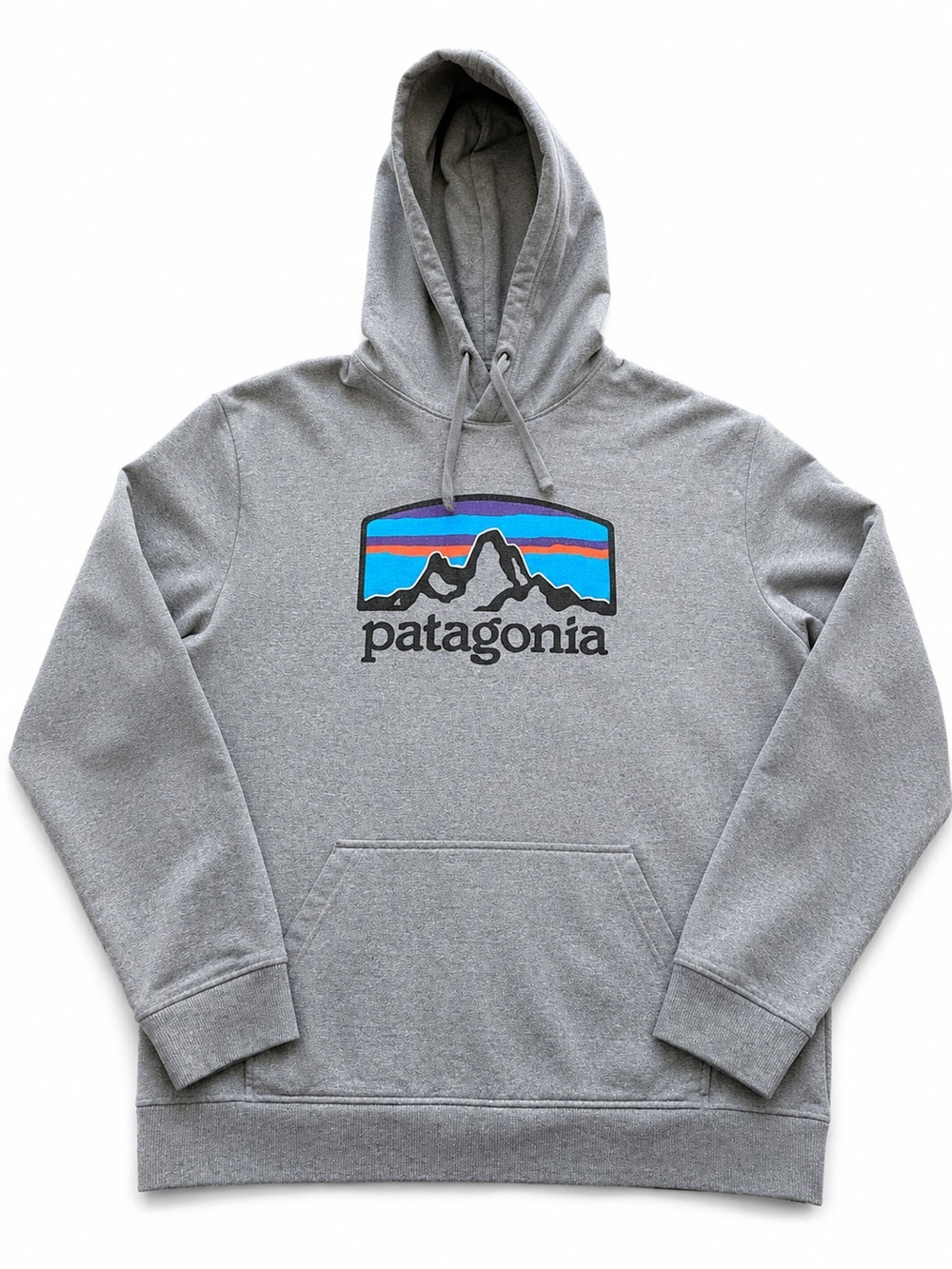 Patagonia Gray Hoodie